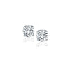 0.50ct Natural Diamond Stud Earrings in 14K White Gold, front view, DEEVE